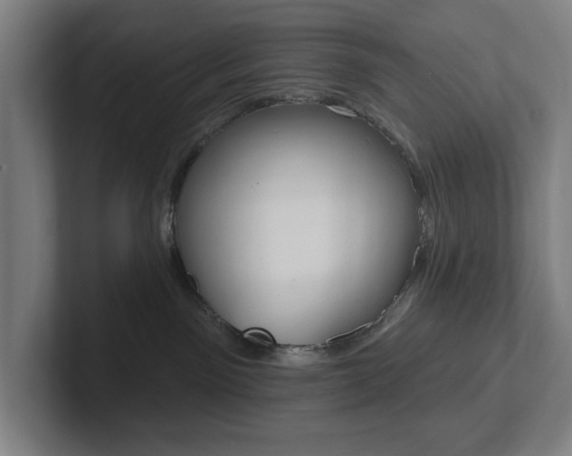 X0000102810141200808181000