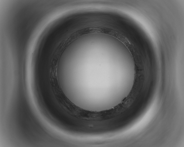 X0000102810143200808181000