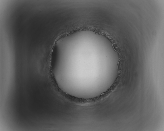 X0000102810144200808181000