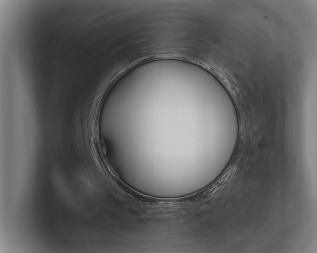 X0000102810145200808181000