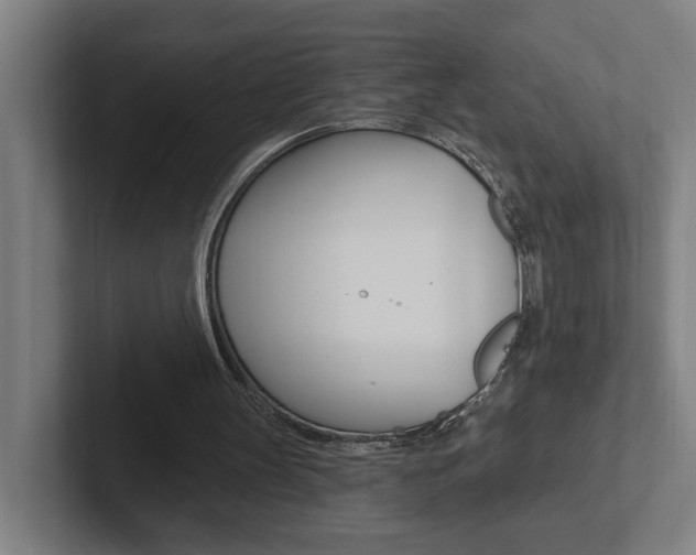 X0000102810147200808181000