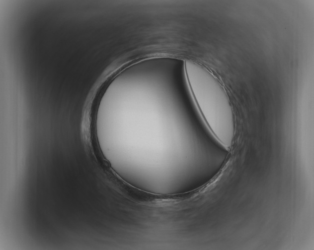 X0000102810150200808181000