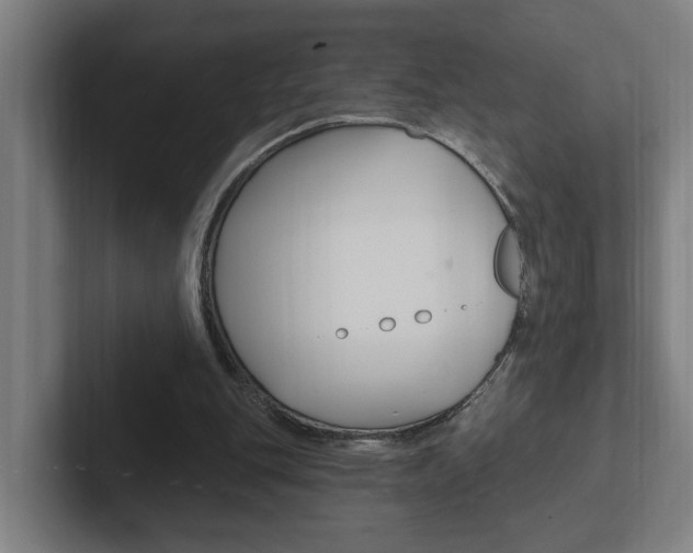 X0000102810151200808181000