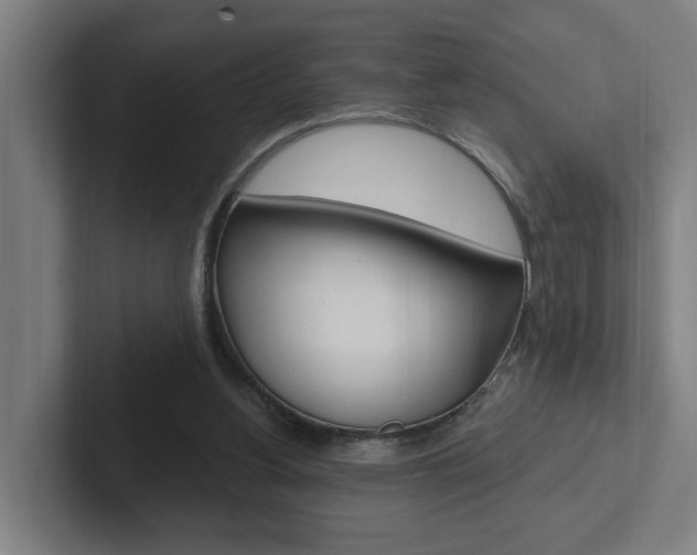 X0000102810156200808181000