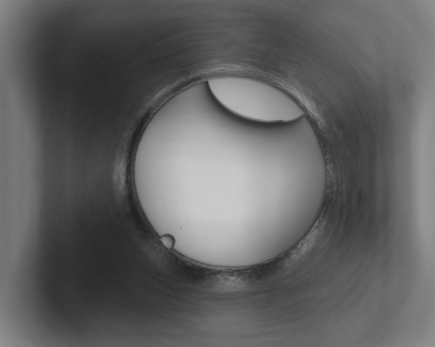 X0000102810159200808181000