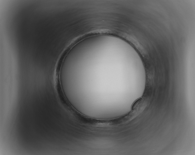 X0000102810160200808181000