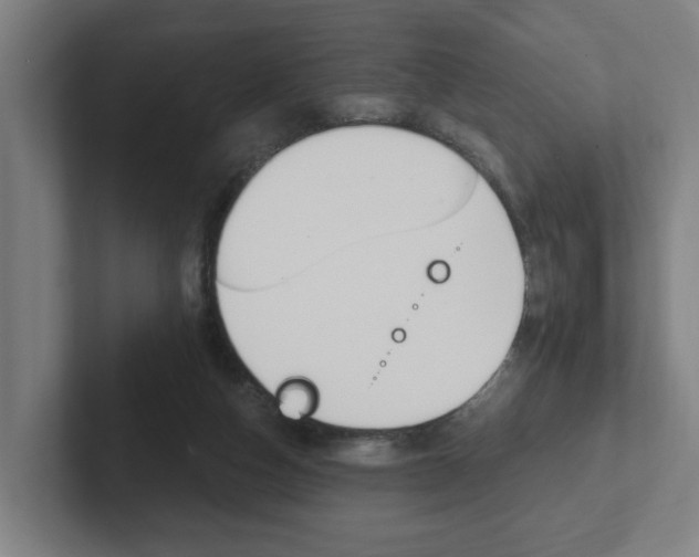 X0000102810162200808181000