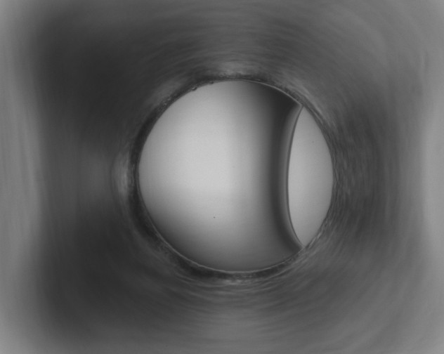 X0000102810164200808181000