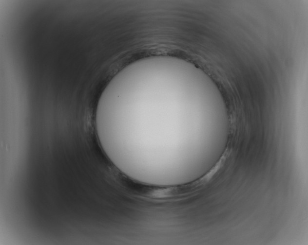 X0000102810178200808181000