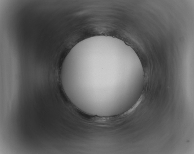 X0000102810182200808181000