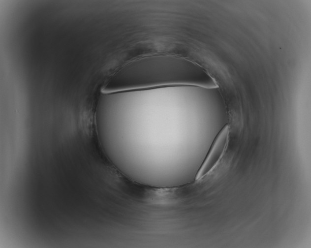 X0000102810184200808181000