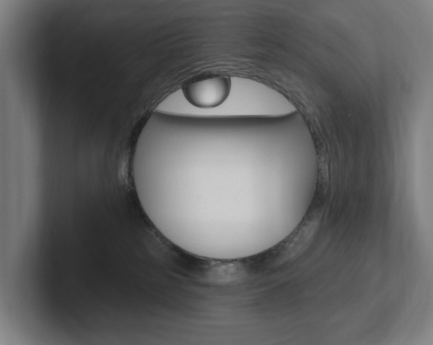 X0000102810185200808181000