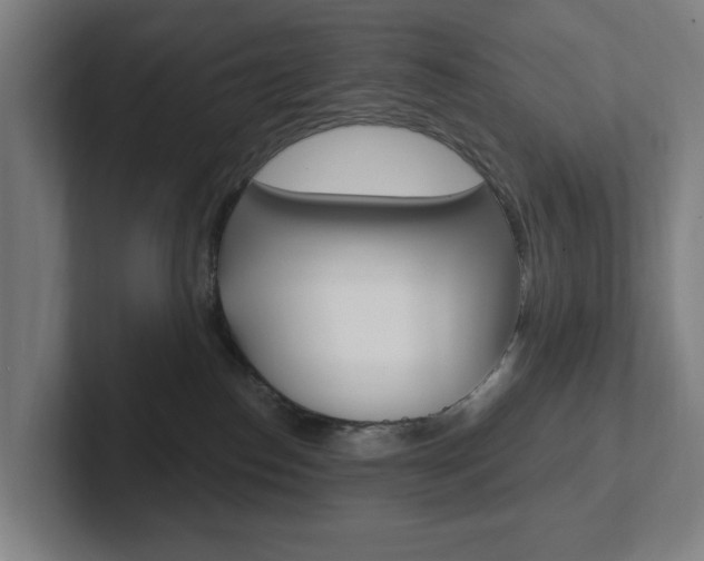 X0000102810186200808181000