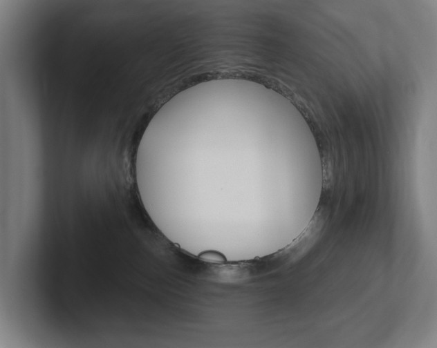 X0000102810187200808181000