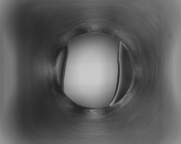 X0000102810188200808181000