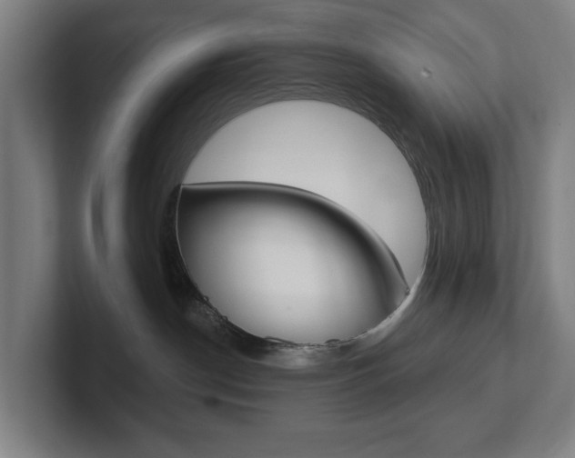 X0000102810190200808181000