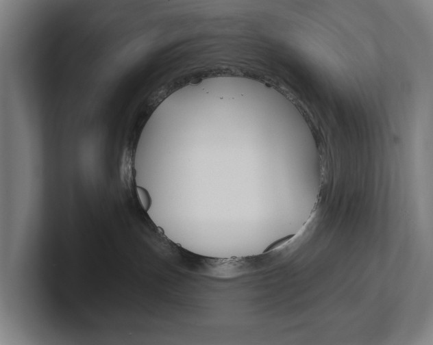 X0000102810191200808181000