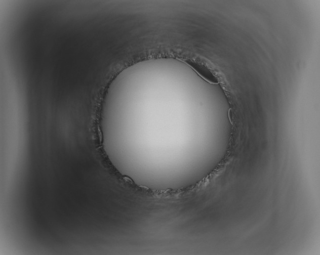 X0000102810192200808181000