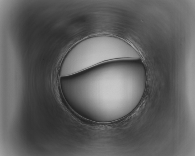 X0000102810193200808181000