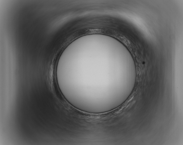 X0000102810194200808181000