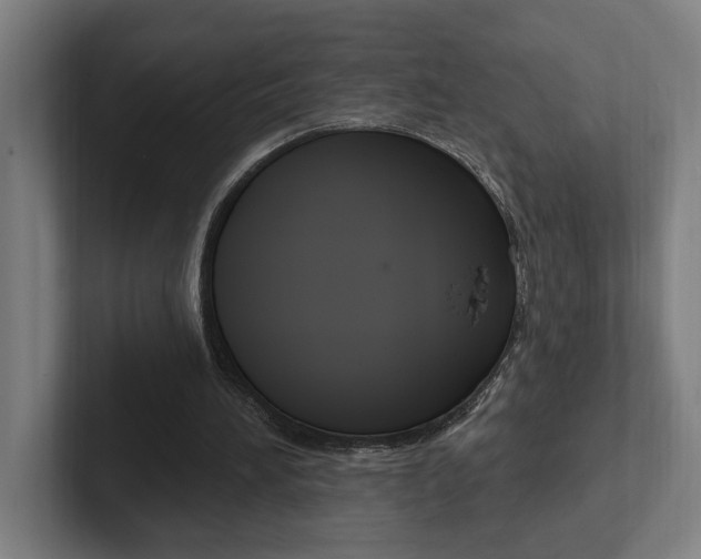 X0000102810196200808181000