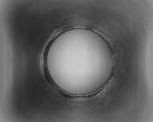 X0000102810198200808181000