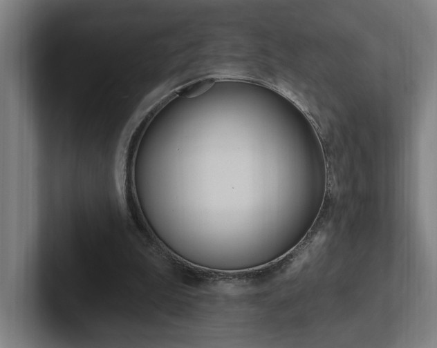 X0000102810199200808181000