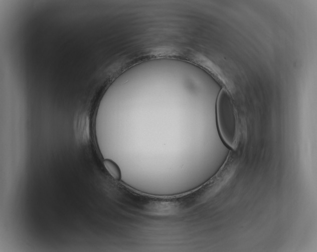 X0000102810205200808180959