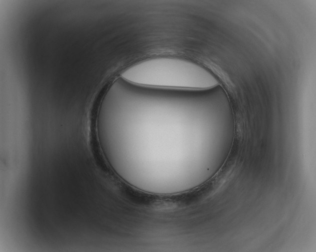 X0000102810207200808180959