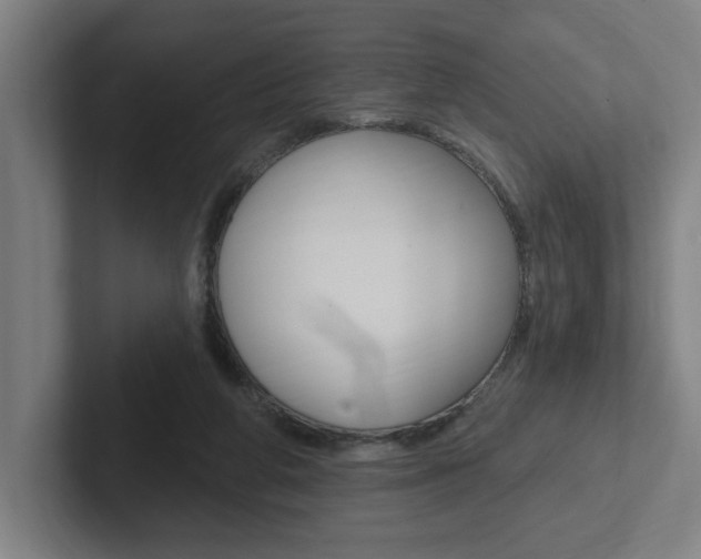 X0000102810210200808180959