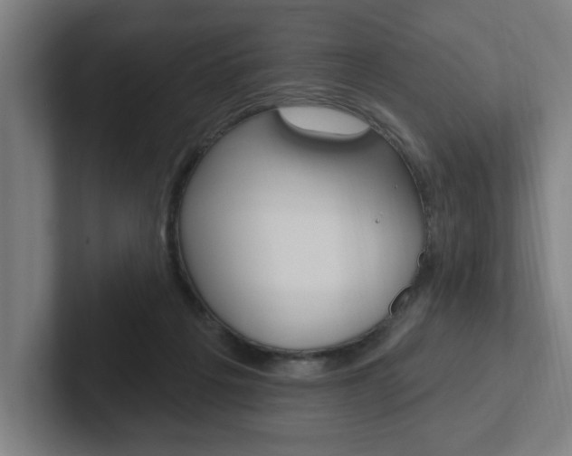 X0000102810217200808180959