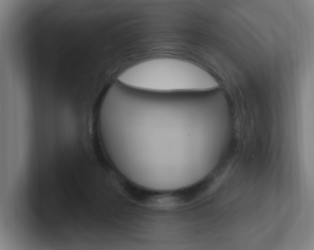 X0000102810219200808180959