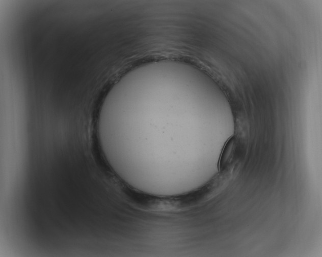 X0000102810223200808180959