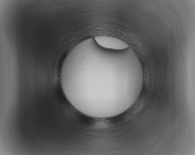 X0000102810226200808180959