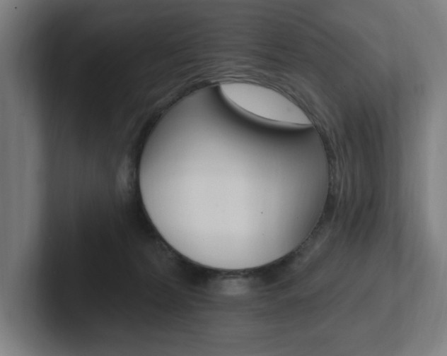 X0000102810228200808180959