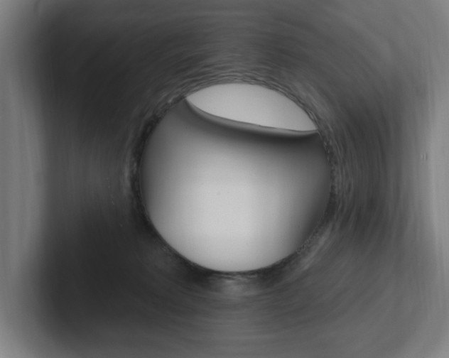 X0000102810229200808180959