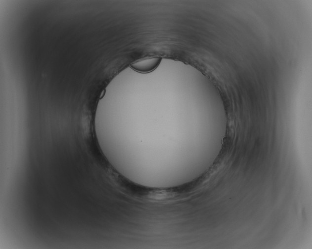 X0000102810231200808180959