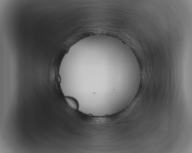 X0000102810233200808180959