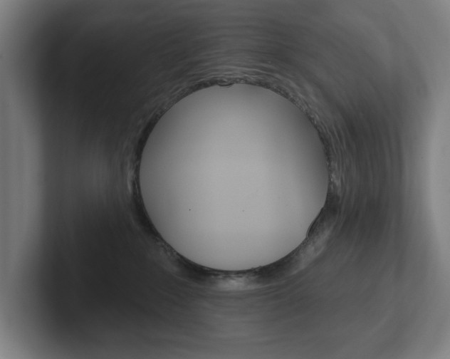 X0000102810235200808180959