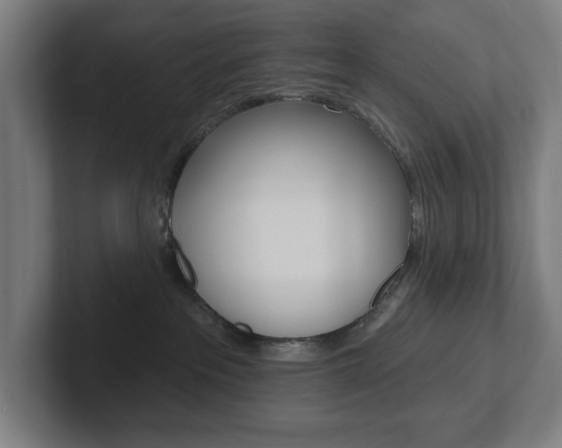 X0000102810237200808180959