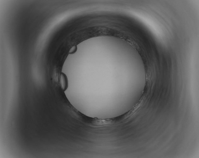 X0000102810239200808180959