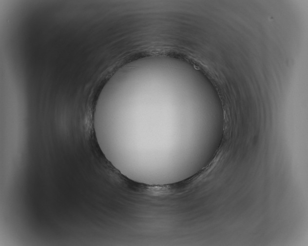 X0000102810240200808180959