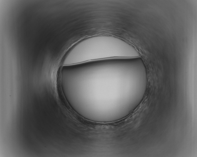 X0000102810242200808180958