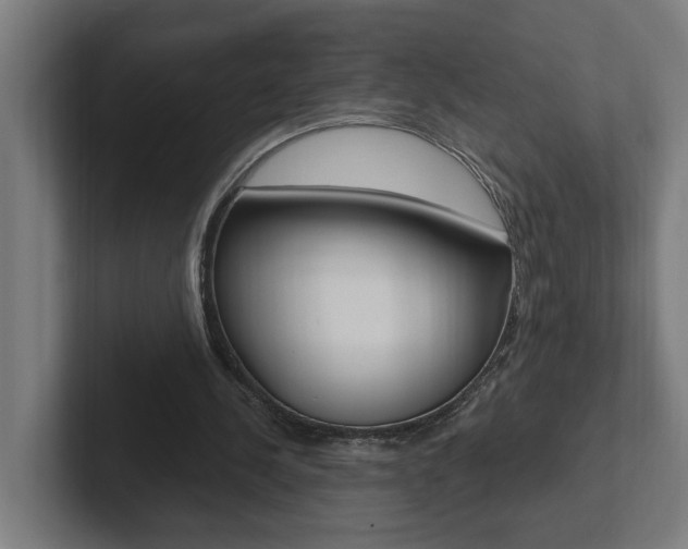 X0000102810244200808180958