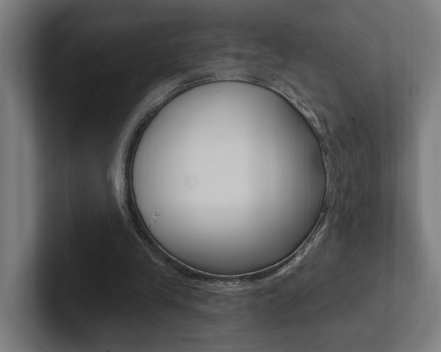 X0000102810245200808180958