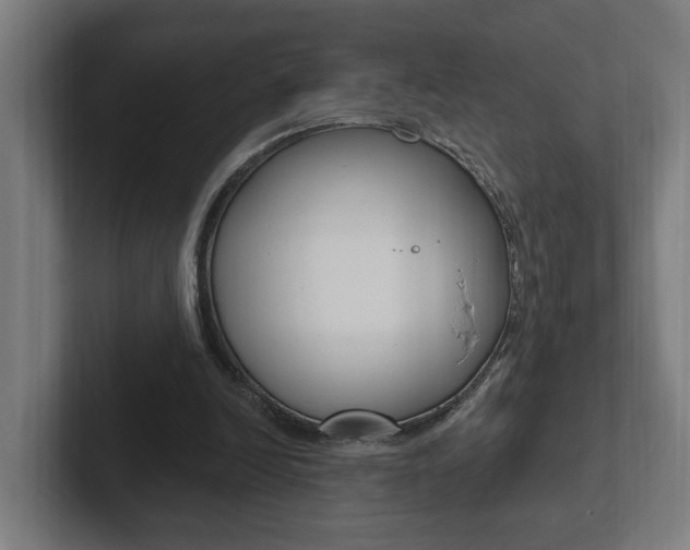 X0000102810246200808180958