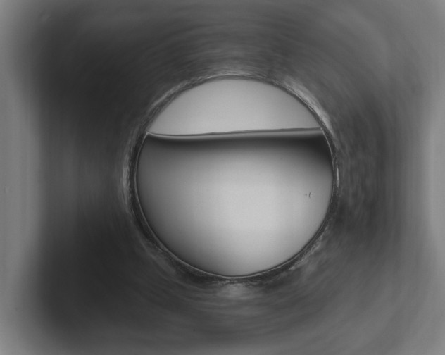 X0000102810249200808180958