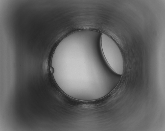 X0000102810251200808180958