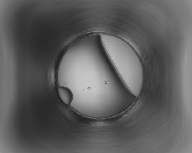 X0000102810253200808180959