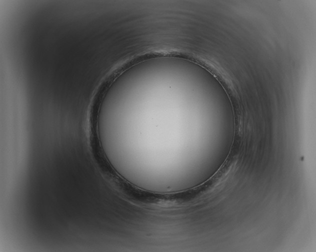 X0000102810256200808180959